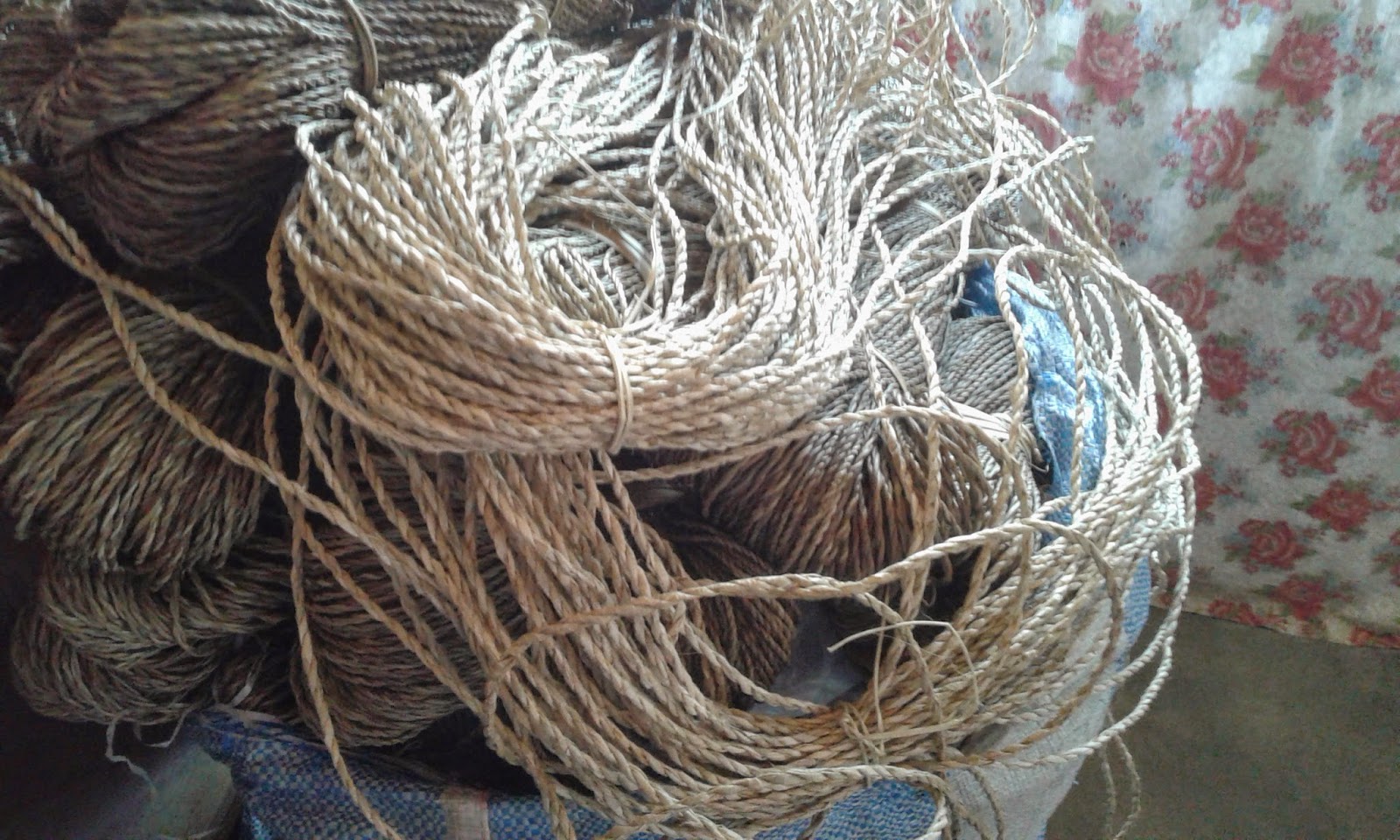 Souvenirs from Pandan, Antique Bariw plant handicrafts