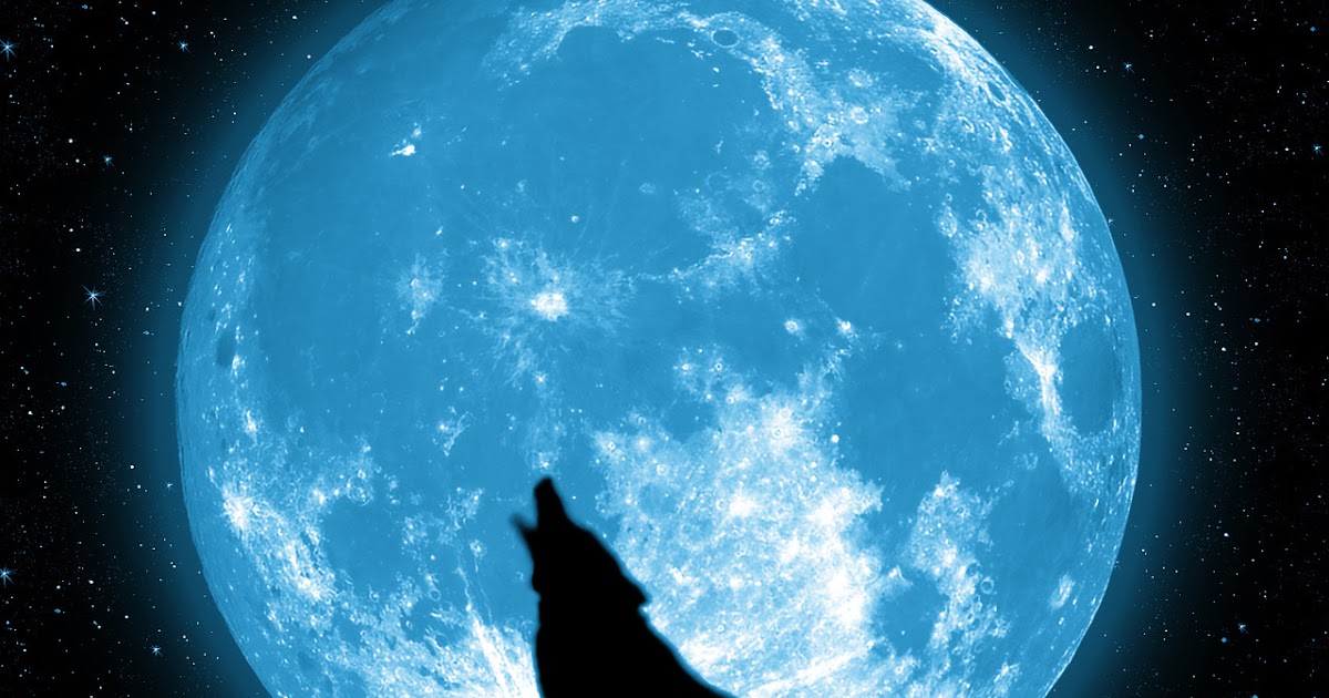 луна воет видео. луна воет видео. луна воет видео. силуэт волка воющего на луну. луна звезды ночь животное.