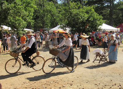 Desfile de bicicletas antiguas en la fiesta de la lavanda en Sault. La Provenza. Francia