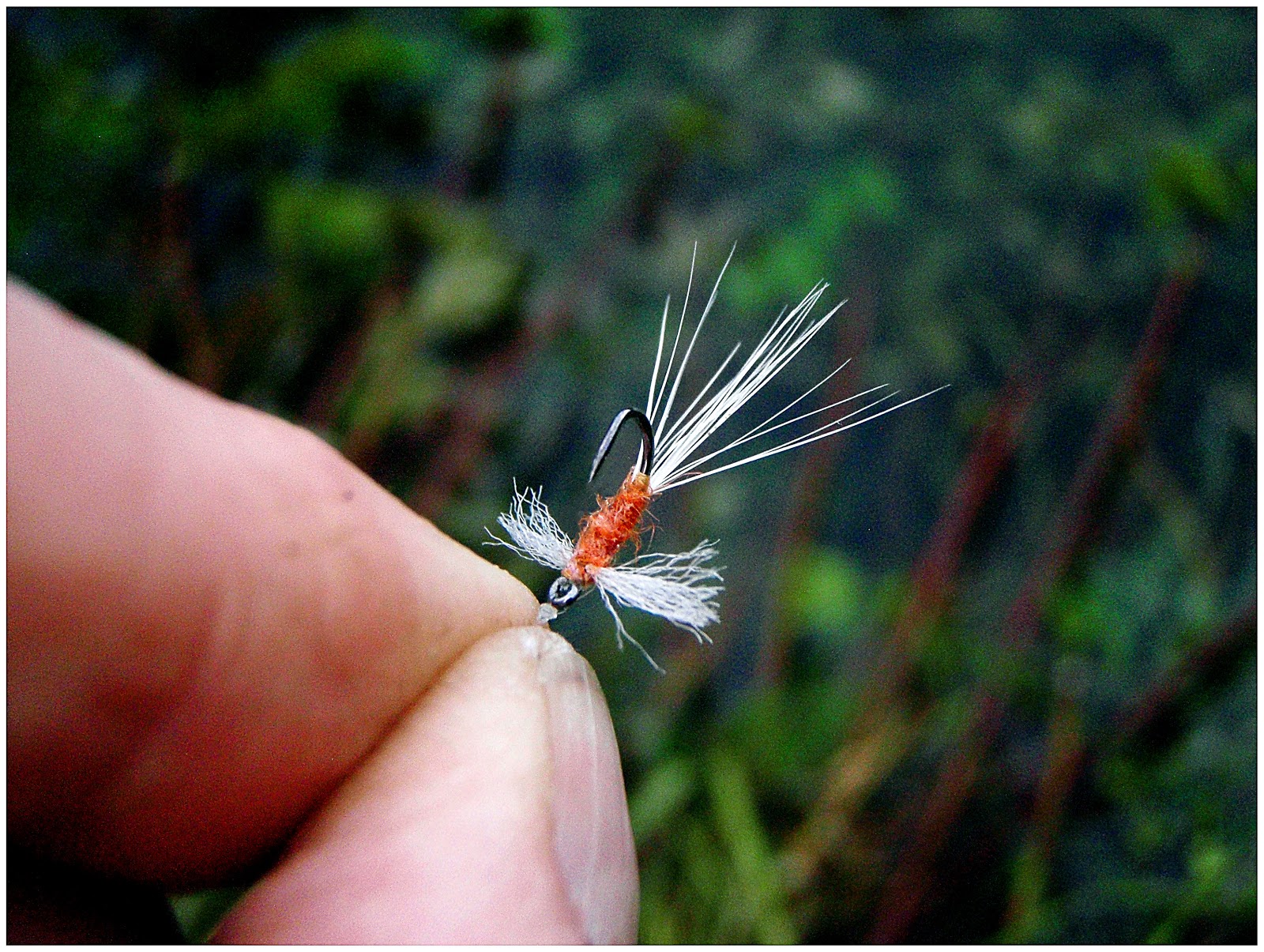 Dry Fly 'Expert' New Improved Recipe Get Some Today!