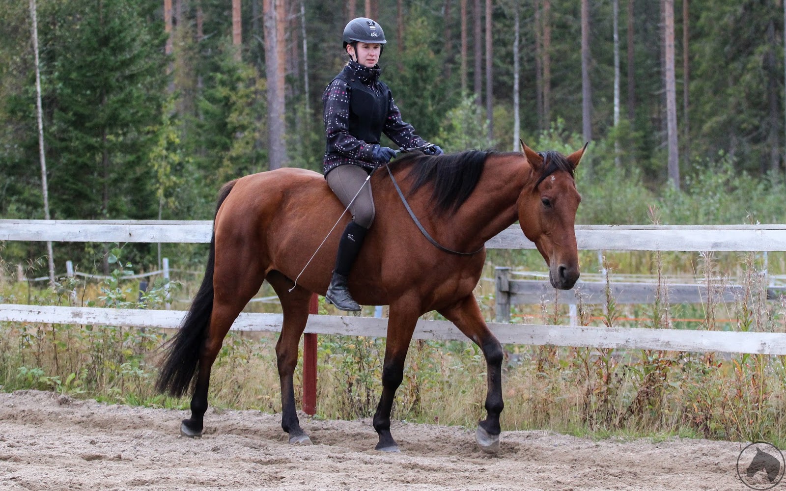 Aasi alainen transu seksi vids