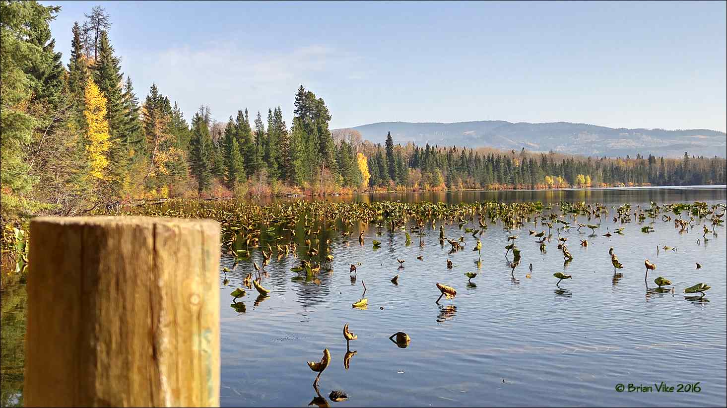 Northern Interior British Columbia Fall Season Klinger Lake Houston