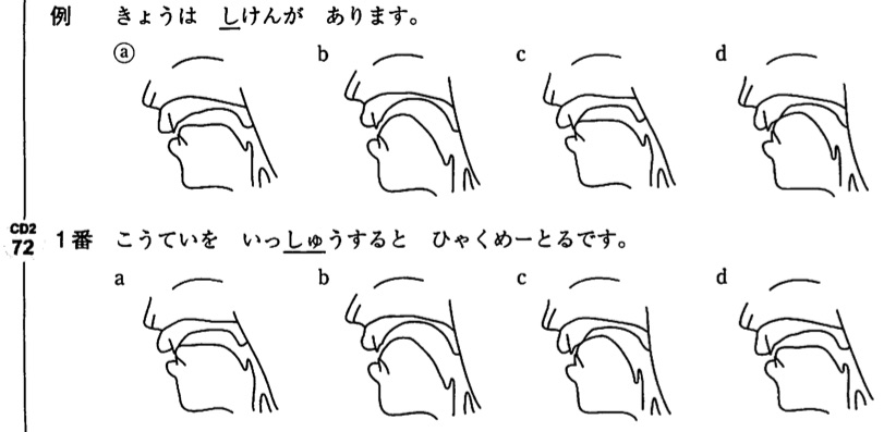 無声歯茎破擦音 Voiceless alveolar affricate JapaneseClass.jp