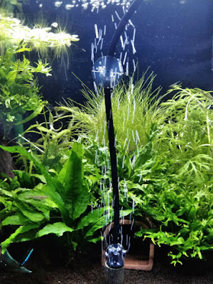 いぶきエアストーン#100エアほぼ全閉