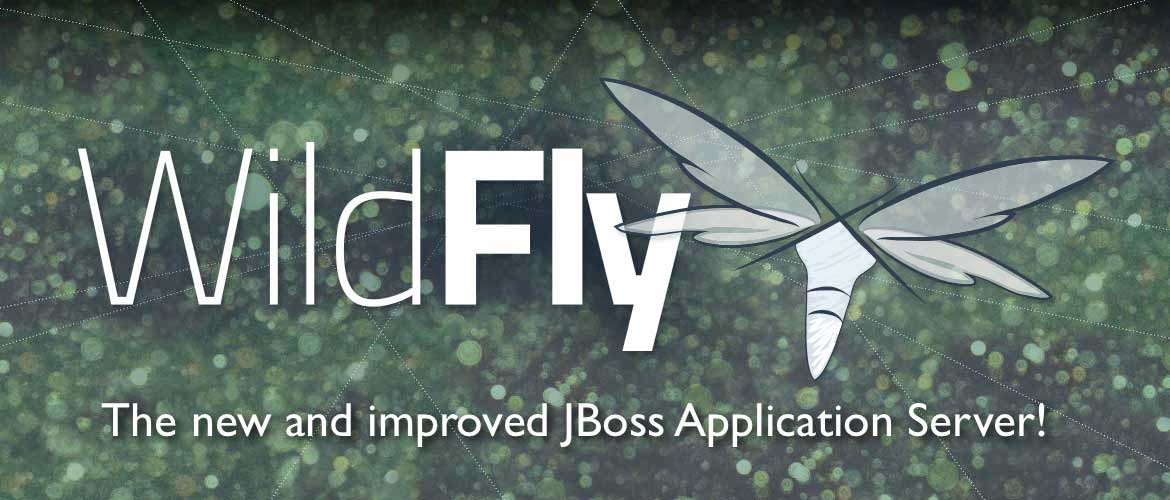 Accelerate your business Let's WildFly with jBPM6