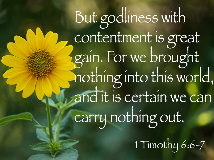 Modern Proverbs Woman 1 Timothy 6 6 7 modern-proverbs-woman-1-timothy-6-6-7