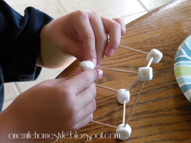 Building with marshmallows and toothpicks