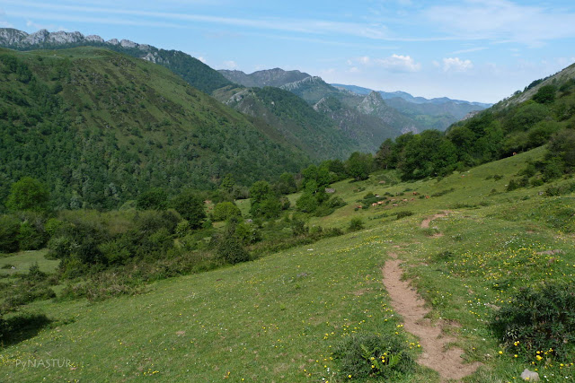 Madada Cureñu y Bosque Degoes - Asturias Madada Cureñu y Bosque Degoes - Asturias