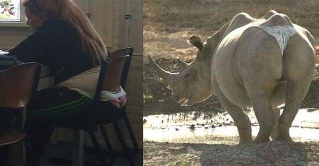 Rite-Mail-Picdump-007.jpg
