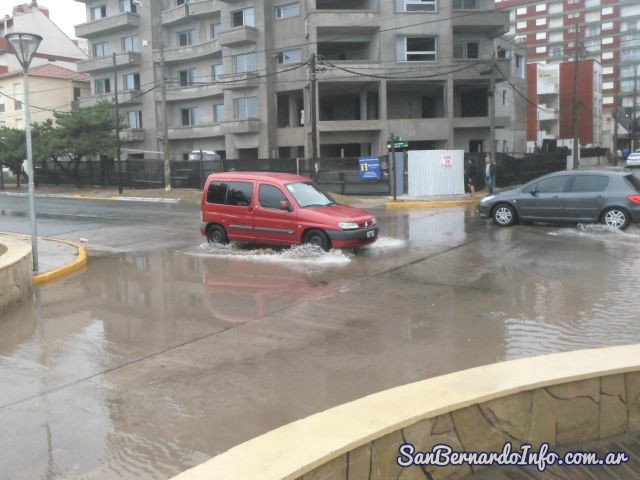 pronostico san bernardo