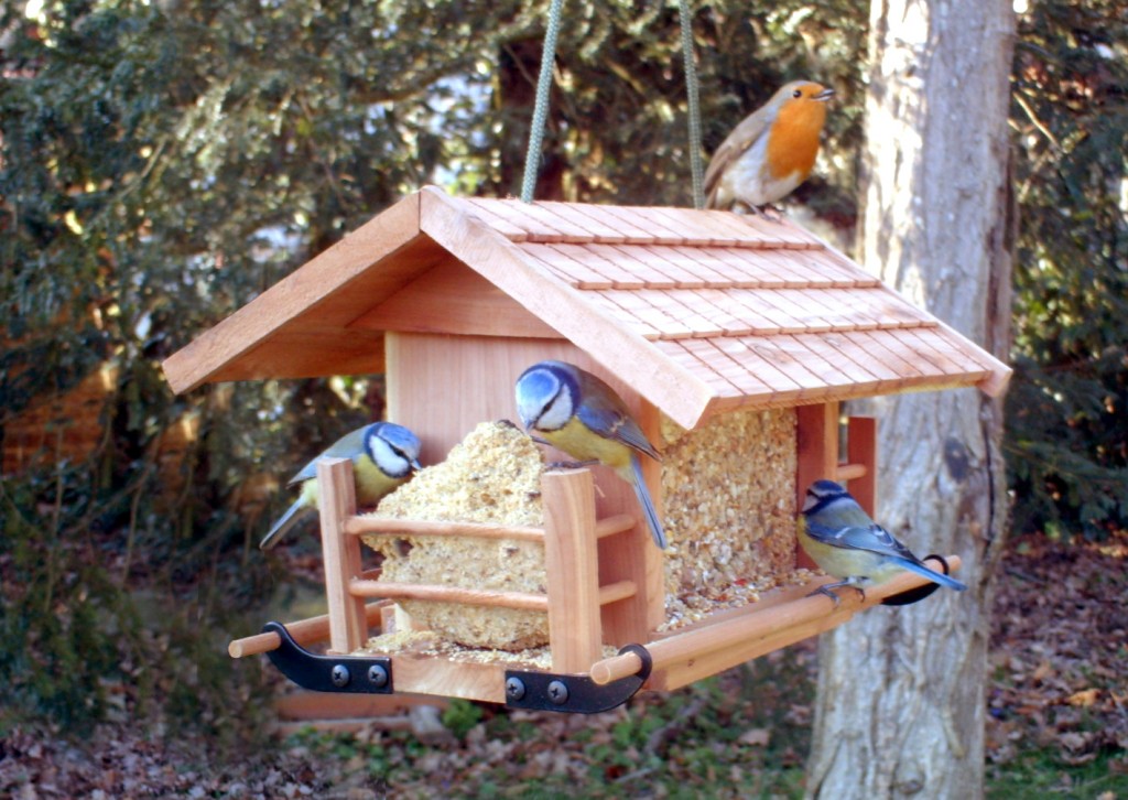 Fabrication de mangeoires à oiseaux