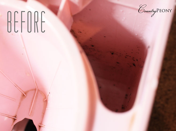 Country Peony How to Clean a Coffee Maker