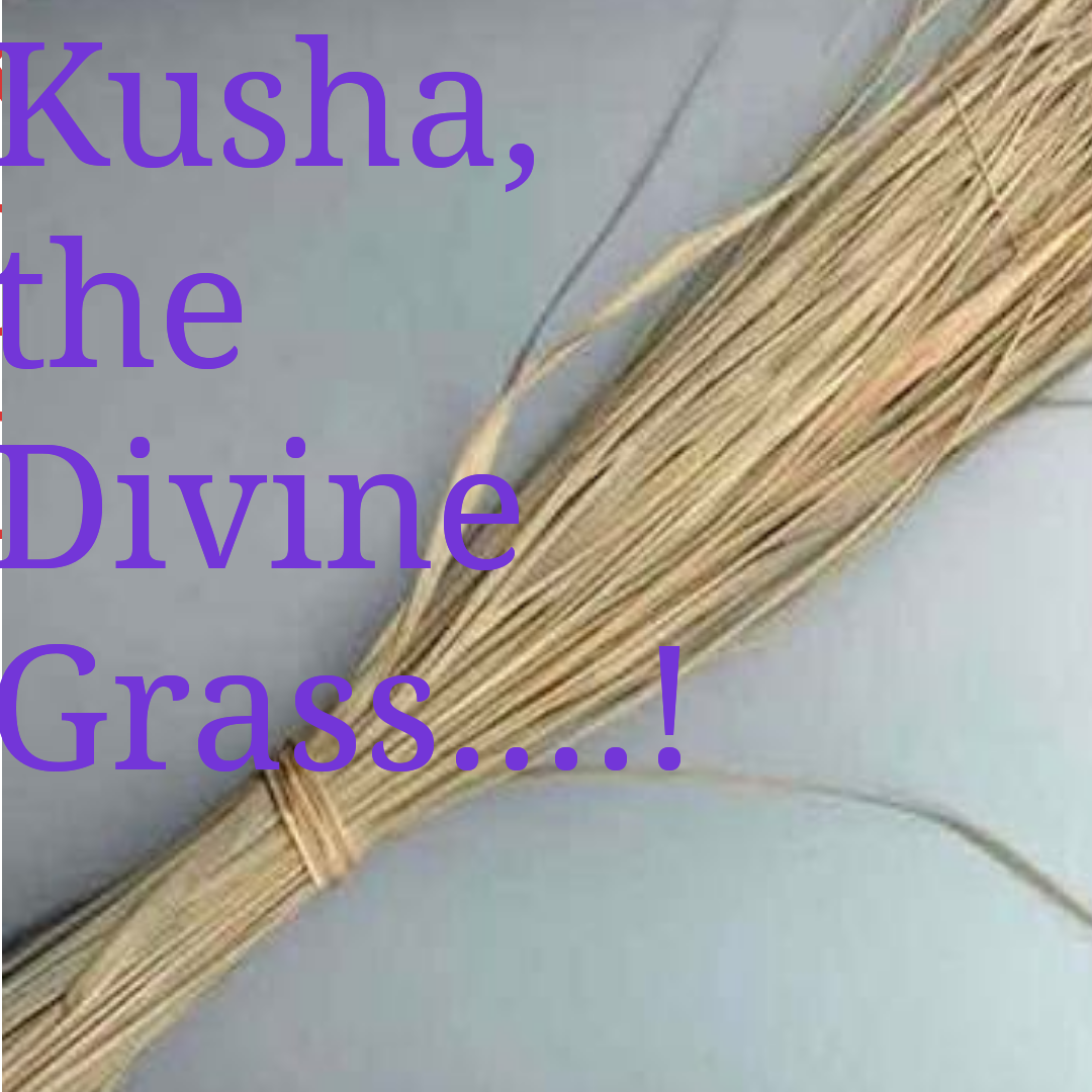 ME & MY THOUGHTS February 2017