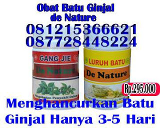Cara Mengobati Gagal Ginjal Tanpa Operasi