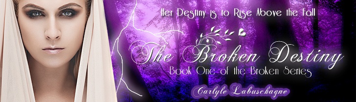 The Broken Destiny by Carlyle Labuschagne The Broken Destiny by Carlyle Labuschagne