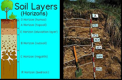 Profil Tanah (Soil Horizon) Tanah merupakan bagian penting di permukaan bumi Profil Tanah (Soil Horizon)