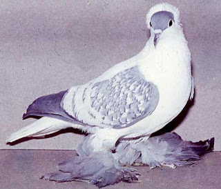 99
