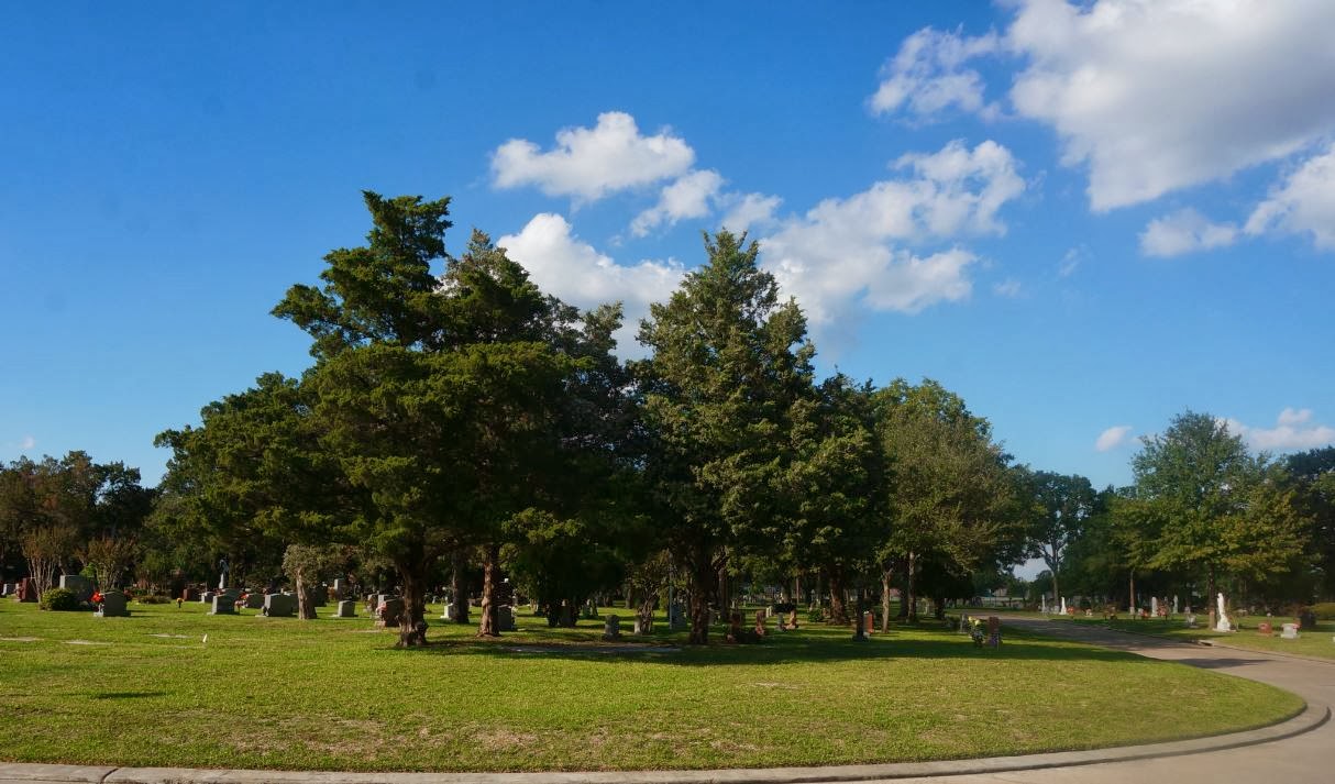 Forest Park Westheimer Estate Plots For Sale by Houston Family