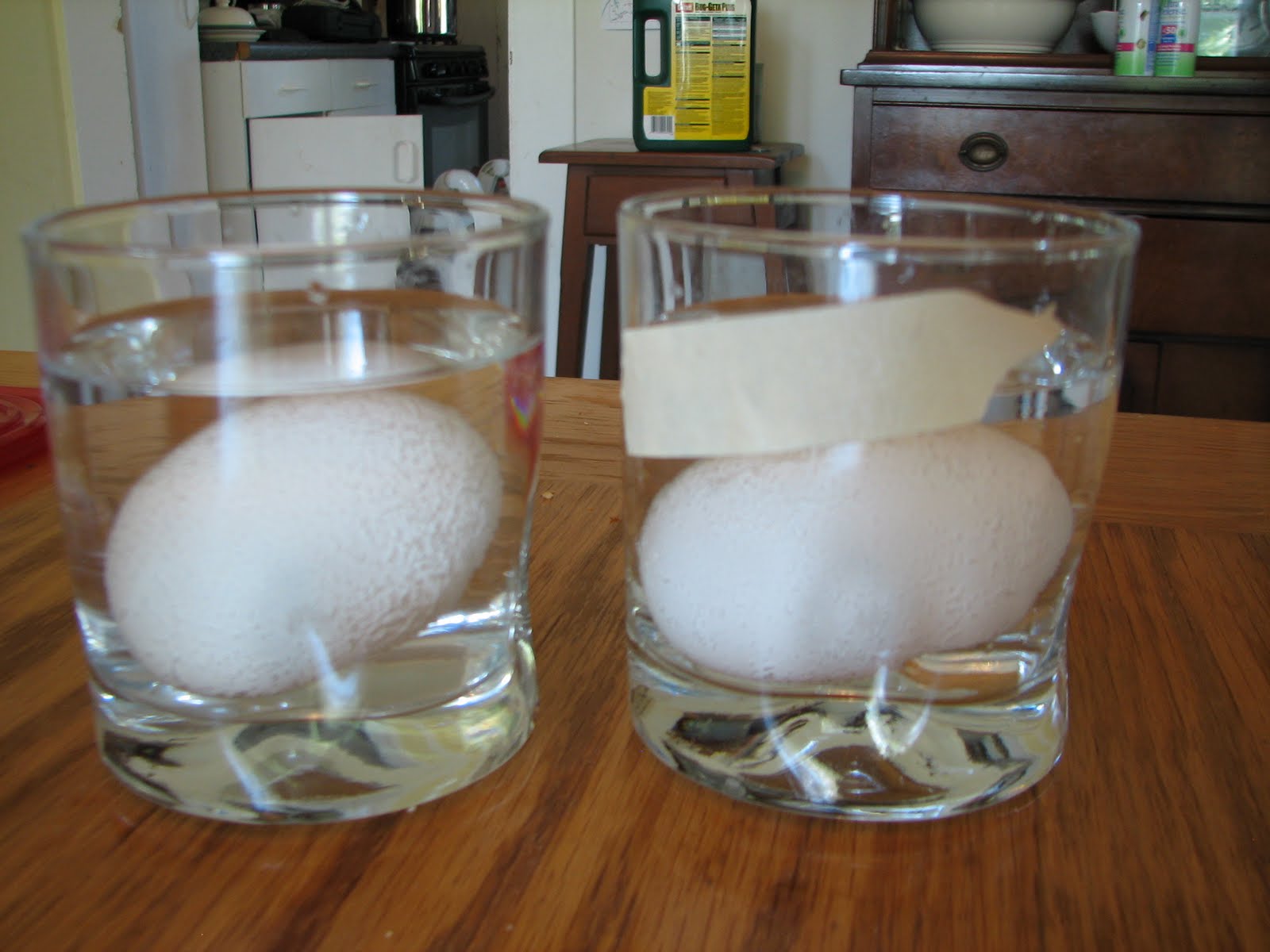 Science Matters The Importance of Brushing Your Teeth Part I