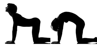 Yoga Untuk Pemula : 10 Proses Sederhana Memulai Yoga Yoga Untuk Pemula : 10 Proses Sederhana Memulai Yoga