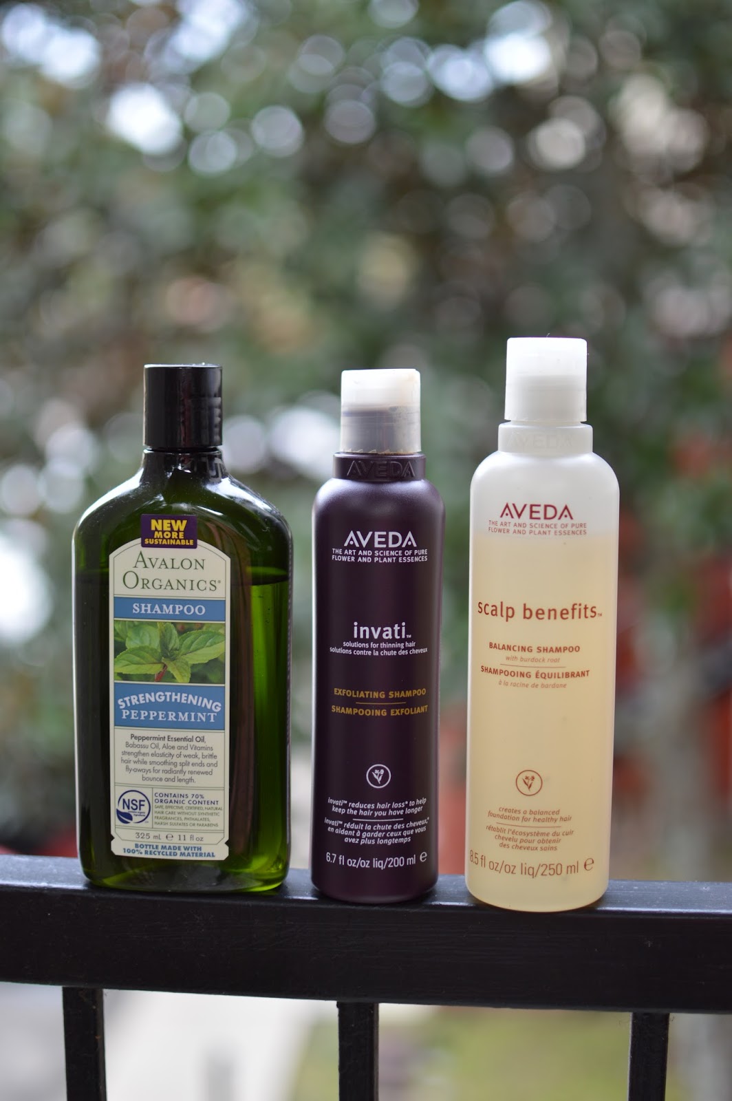 how to prevent oily hair Affordable by Amanda