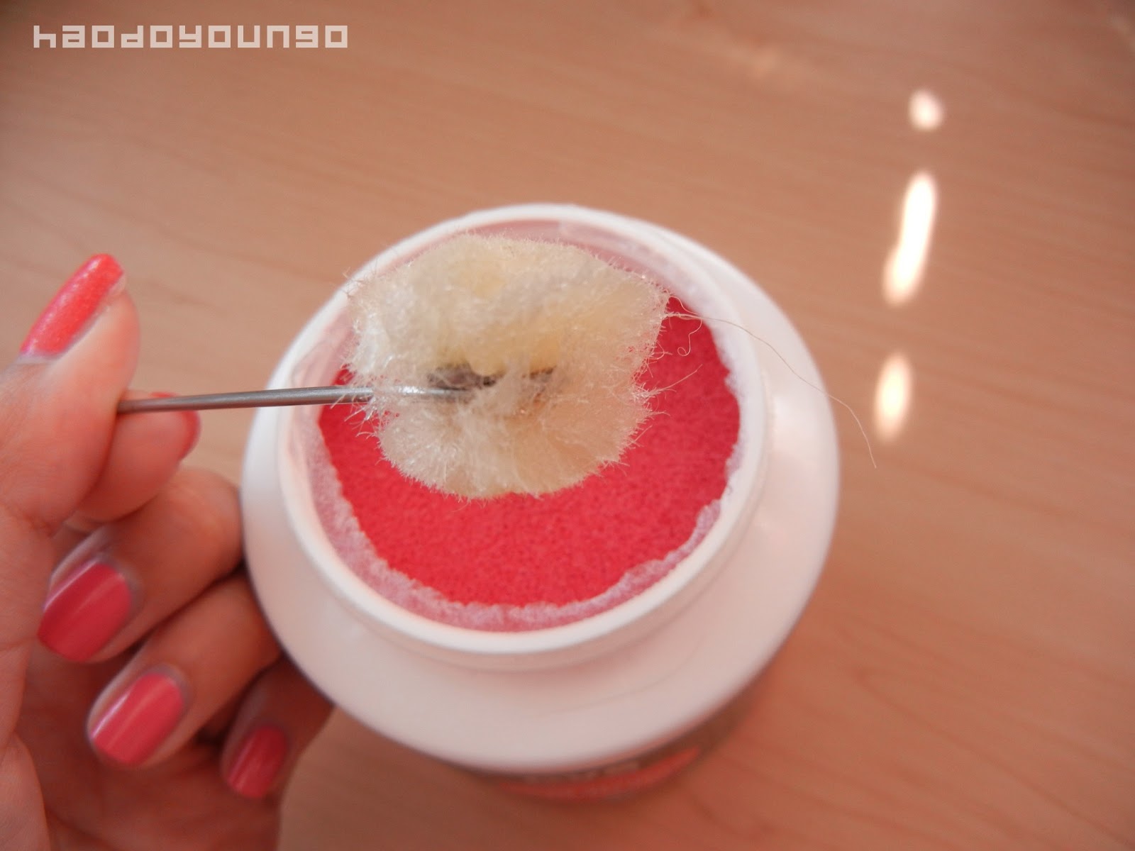 Review CVS Pharmacy Nail Polish Remover (Sponge Jar) haodoyoungo