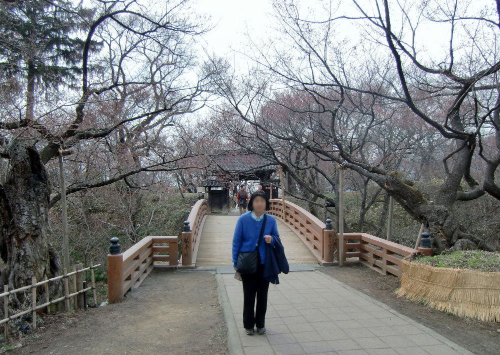 SHOTs rambling Japan Takato Castle Ruins (Nagano)