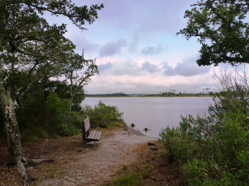North Carolina Hikes Cedar Point Tideland Trail (Croatan National Forest)