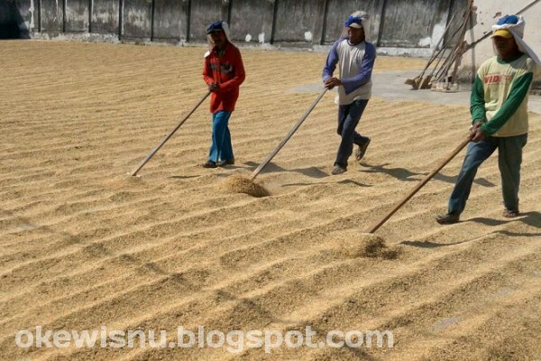 Wisnu Bayu Murti | Rabu, 03 Januari 2018