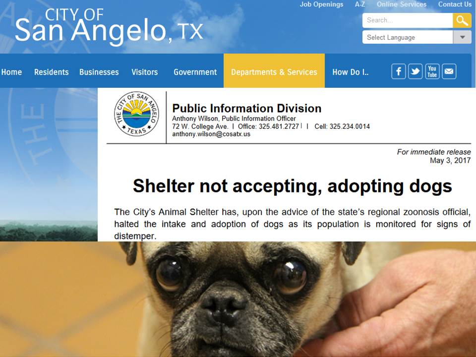 State of the Division City Finally Informs Public of Deadly Distemper