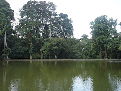 Kolam Kebun Raya Bogor