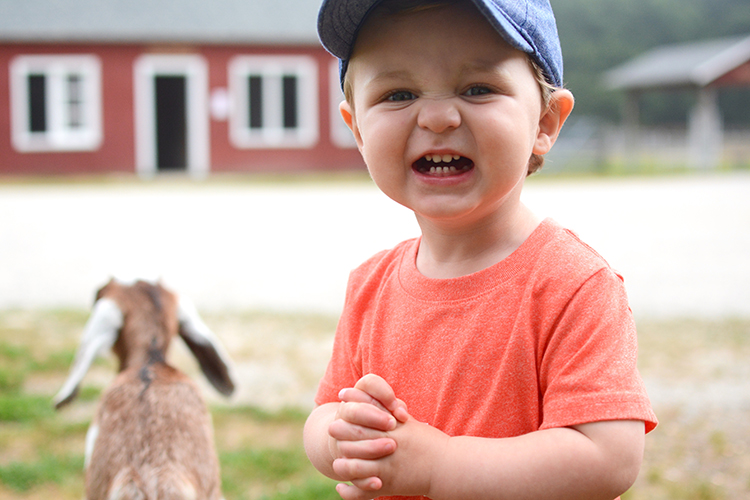 The Farm, Door County | My Darling Days The Farm, Door County | My Darling Days