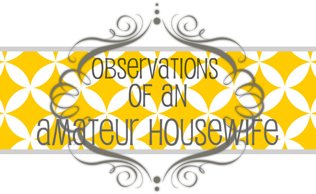Observations of an Amateur Housewife