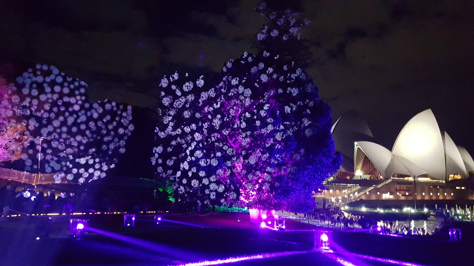 Sydney City and Suburbs Botanic Gardens, Vivid Sydney