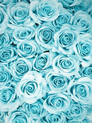 Bright blue roses