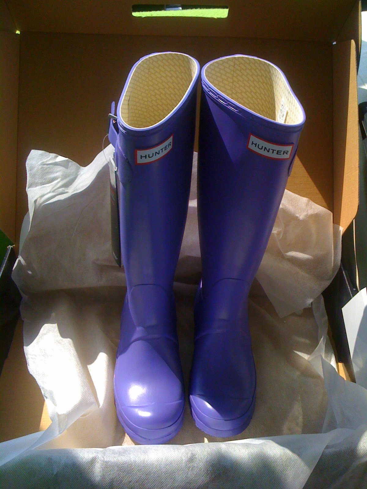 The wind and the wellies: The distraction of the posh purple wellies