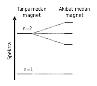 Spektrum atom hidrogen terurai dalam medan magnet (efek Zeeman) Spektrum atom hidrogen terurai dalam medan magnet (efek Zeeman)
