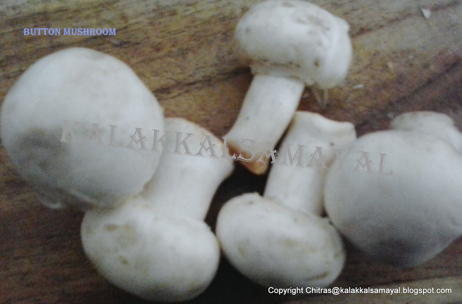 kalakkalsamayal: Mushroom Curry