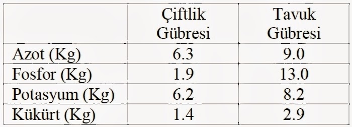 Bu ne tür bir canavar Kalori değeri, yararları, hazırlama yöntemleri Bu ne tür bir canavar Kalori değeri, yararları, hazırlama yöntemleri