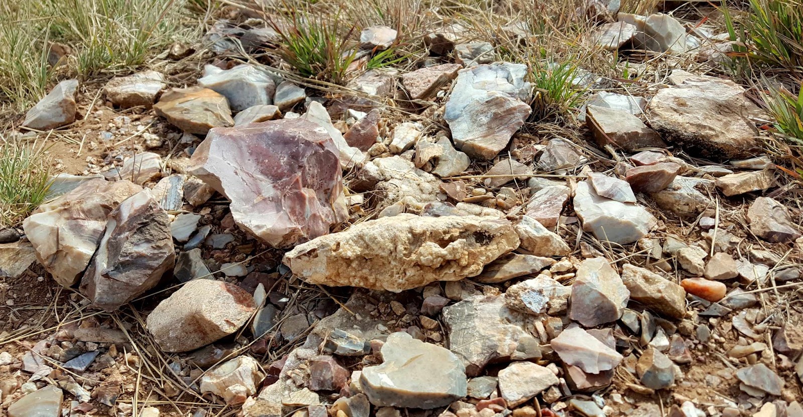Wandering His Wonders Finding Flint and Family
