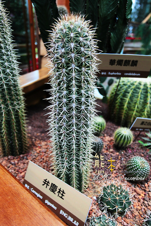 花博新生園區|未來館~台灣四大生態總匯集