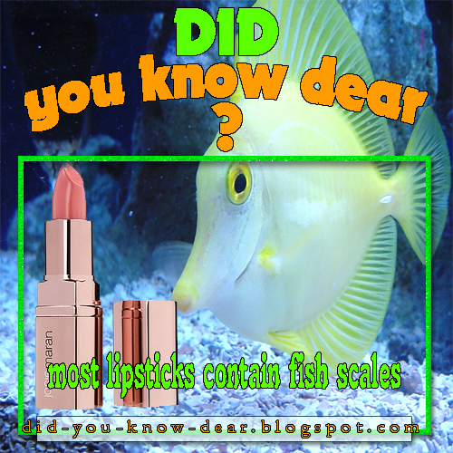 most lipsticks contain fish scales Did you know