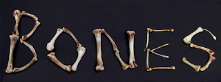 Image of bones