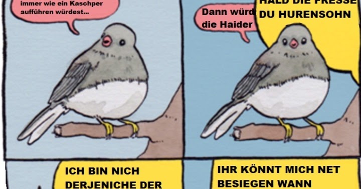 Drachengame Drachengame
