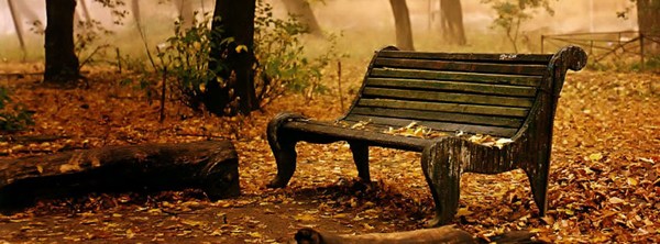 Nature Old Bench HD Cover Fb New