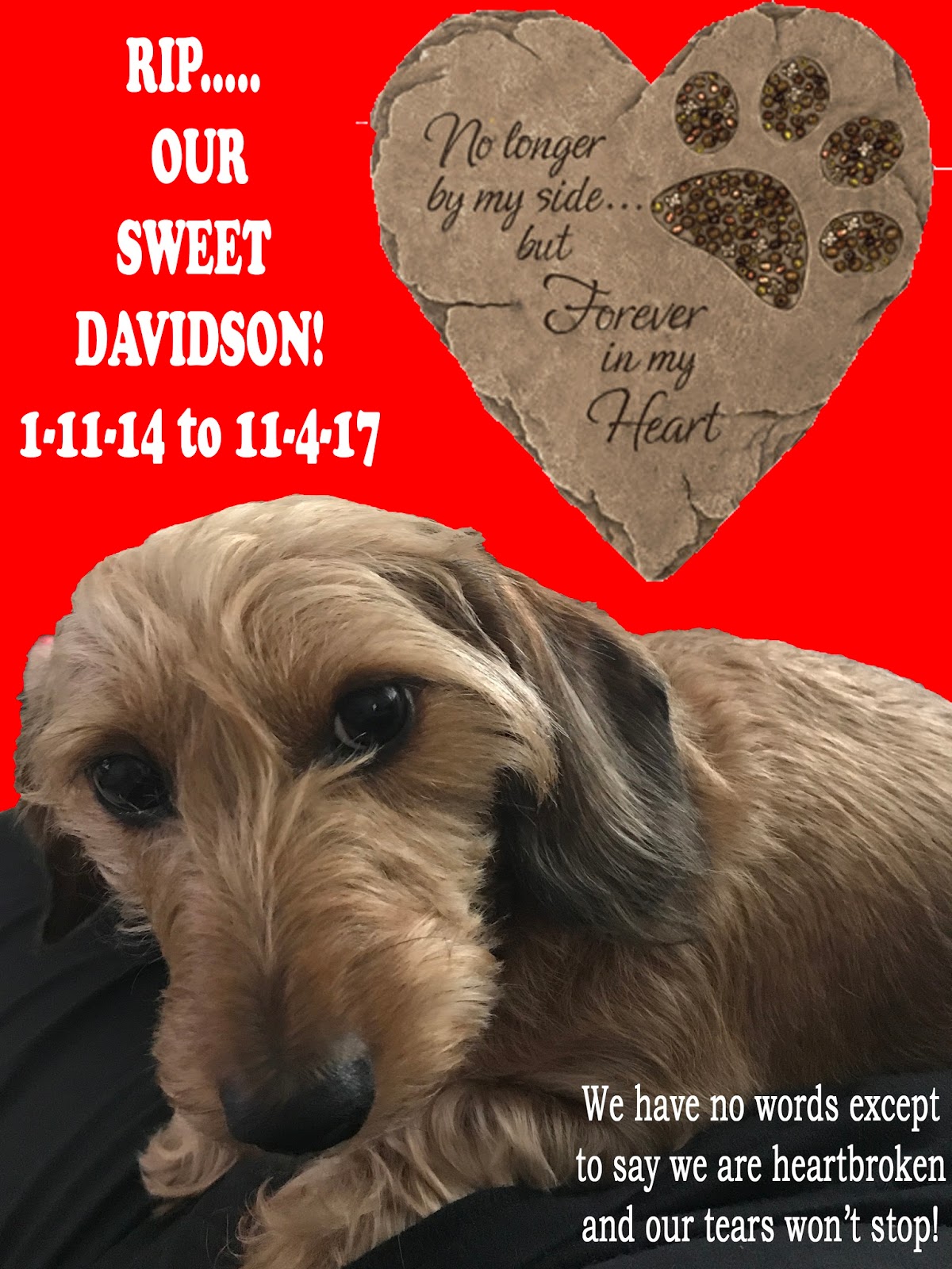 Faithful Friends Pet Cremation "Davidson" Kelly/Pullara