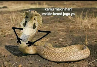 Kerad Kerad