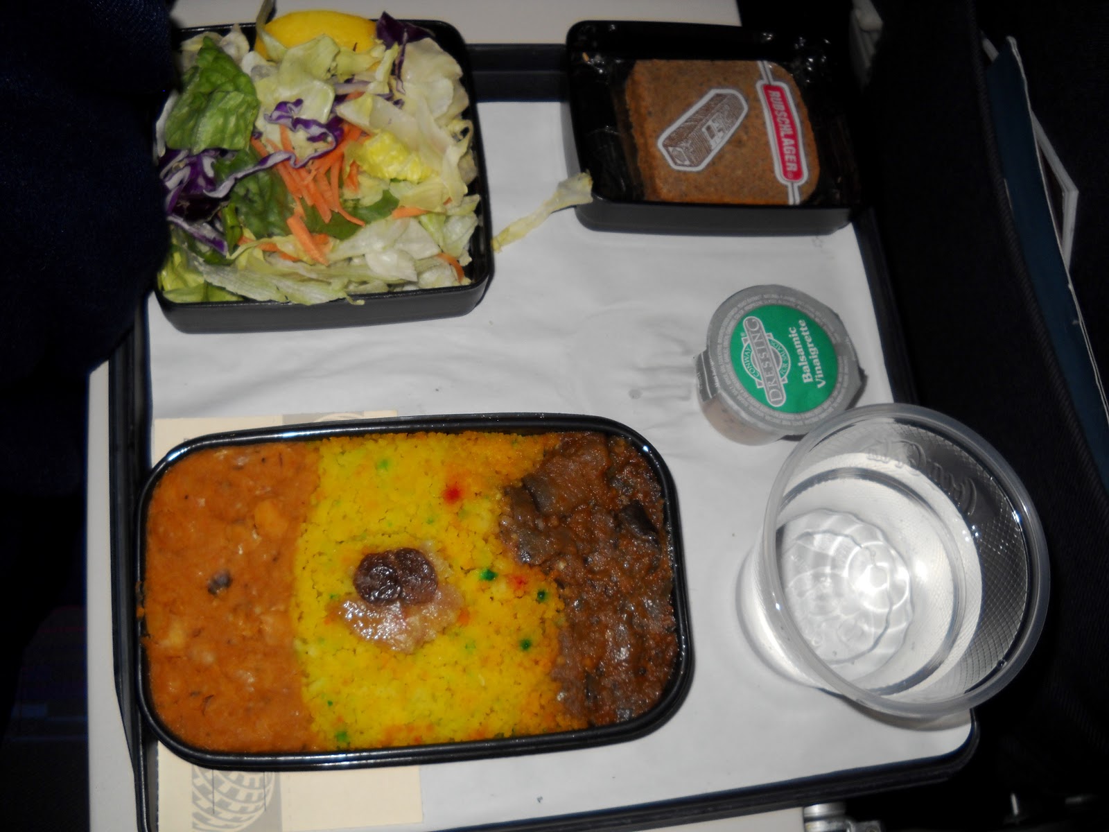 Healthy Gypsy Traveller UNITED AIRLINES inflight vegan meal REVIEW