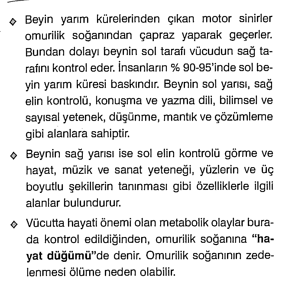 Novospassky Stauropegic Manastırının yeniden doğuşu 65