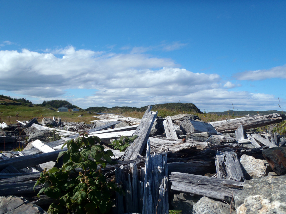 My Newfoundland Kayak Experience Bonavista Bay Flat Island walkabout